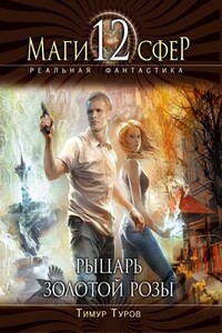 Рыцарь золотой розы - Тимур Туров