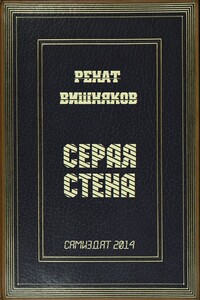 Серая стена - Ренат Михайлович Вишняков