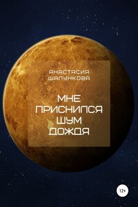 Мне приснился шум дождя - Анастасия Шалункова