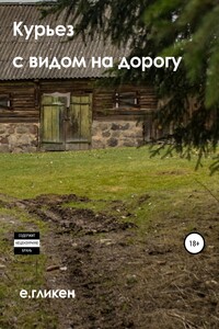 Курьёз с видом на дорогу - Екатерина Константиновна Гликен