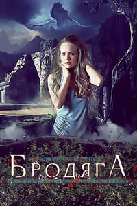 Бродяга - Андреа К. Хёст