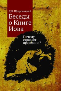 Беседы о Книге Иова. Почему страдает праведник? - Дмитрий Владимирович Щедровицкий