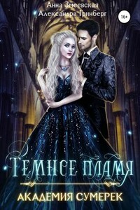 Академия сумерек. Темное пламя - Александра Гринберг, Анна Змеевская