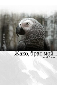 Жако, брат мой... - Юрий Божич