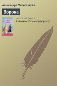 Ворона - Александра Милованцева