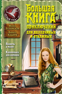 Большая книга приключений для находчивых и отважных - Кирилл Кащеев, Илона Волынская
