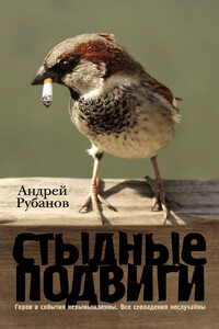 Стыдные подвиги - Андрей Викторович Рубанов