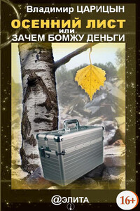 Осенний лист, или Зачем бомжу деньги - Владимир Васильевич Царицын