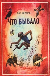 Что бывало - Борис Степанович Житков