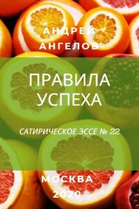 Правила успеха - Андрей Петрович Ангелов