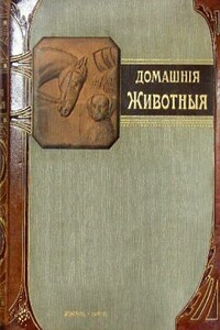 Наши домашнiя животныя. Собаки - Р Клетт, Л Гольтгоф