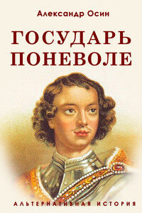 Государь поневоле - Александр Николаевич Осин