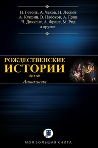 Рождественские истории - Леонид Николаевич Андреев, Валерий Яковлевич Брюсов
