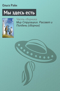Мы здесь есть - Ольга Рэйн