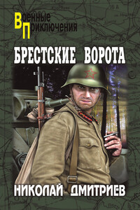 Брестские ворота - Николай Николаевич Дмитриев