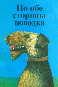 Фернандо, совсем необычный пес - Дитрих Росс