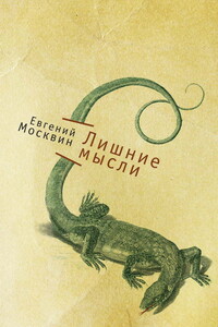 Лишние мысли - Евгений Юрьевич Москвин