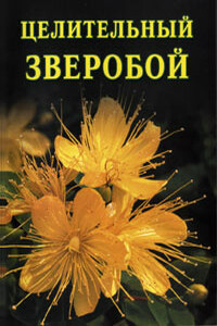 Целительный зверобой - Иван Ильич Дубровин