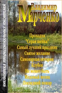 Последний пожар - Владимир Борисович Марченко
