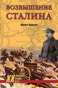 Возвышение Сталина. Оборона Царицына - Владислав Львович Гончаров, Владимир Арсеньевич Меликов