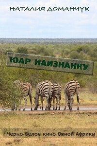 ЮАР наизнанку - Наталия Анатольевна Доманчук
