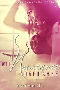 Мое последнее обещание - Уитни Грация Уильямс