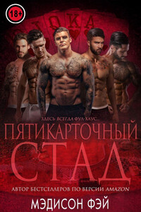Пятикарточный стад - Мэдисон Фэй