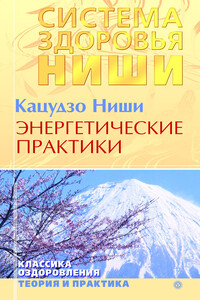 Энергетические практики - Ниши Кацудзо