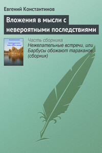 Вложения в мысли с невероятными последствиями - Евгений Михайлович Константинов