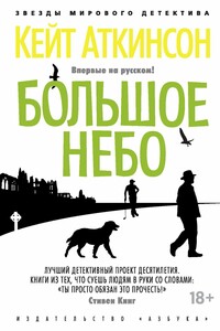 Большое небо - Кейт Аткинсон