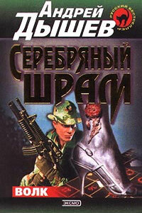 Серебряный шрам - Андрей Михайлович Дышев
