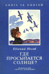Где просыпается солнце? - Евгений Иванович Носов