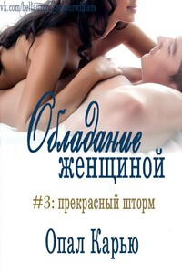 Прекрасный Шторм - Опал Карью