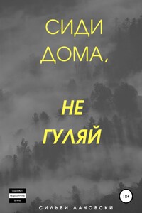 Сиди дома, не гуляй - Сильви Лачовски