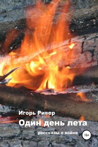 Один день лета. Сборник рассказов - Игорь Ривер