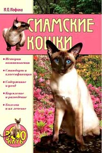 Сиамские кошки - Ирина Олеговна Иофина