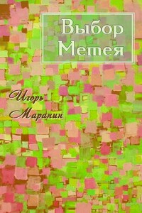 Выбор Метея - Игорь Юрьевич Маранин