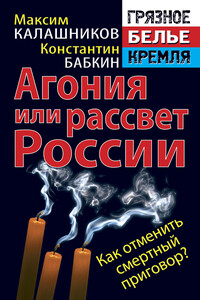 Агония или рассвет России. Как отменить смертный приговор? - Максим Калашников, Константин Анатольевич Бабкин