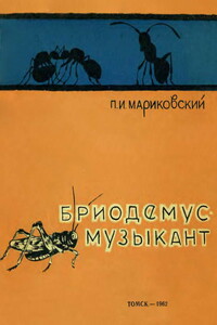 Бриодемус-музыкант - Павел Иустинович Мариковский