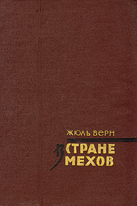 В стране мехов - Жюль Верн