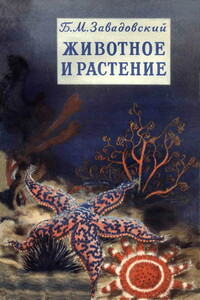 Животное и растение - Борис Михайлович Завадовский