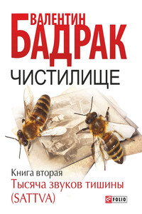 Чистилище. Книга 2. Тысяча звуков тишины (Sattva) - Валентин Владимирович Бадрак