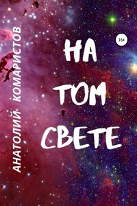 На том свете - Анатолий Комаристов