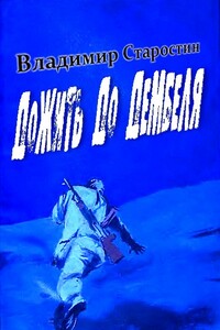 Дожить до дембеля - Владимир Старостин