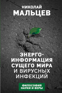 Энергоинформация сущего мира и вирусных инфекций. Философия науки и веры - Николай Никифорович Мальцев