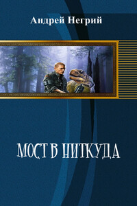 Мост в Ниткуда - Андрей Владимирович Негрий