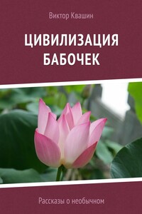 Цивилизация бабочек - Виктор Георгиевич Квашин