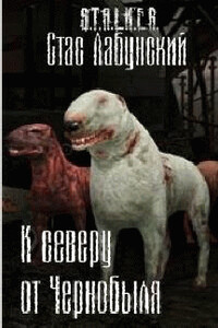 К северу от Чернобыля - Станислав Лабунский