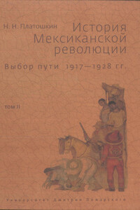 Выбор пути. 1917–1928 гг. - Николай Николаевич Платошкин