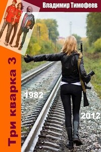 Три кварка 3 (1982-2012). Конфайнмент - Владимир Анатольевич Тимофеев